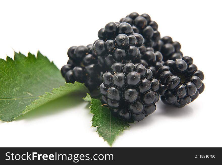 Berries of ripe blackberry on a white background