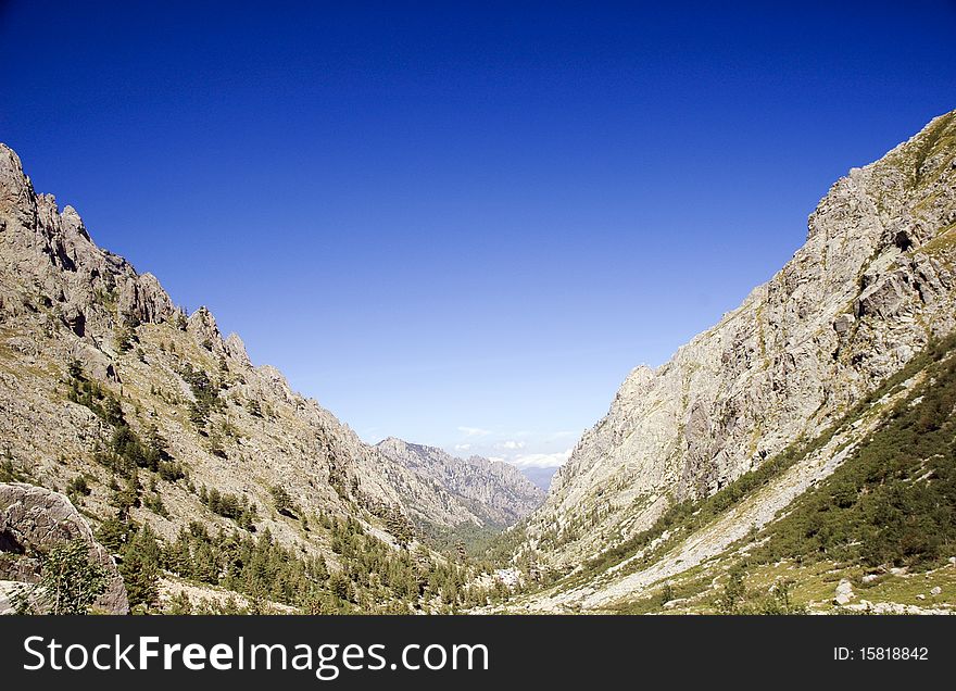 European mountain valley with pine trees