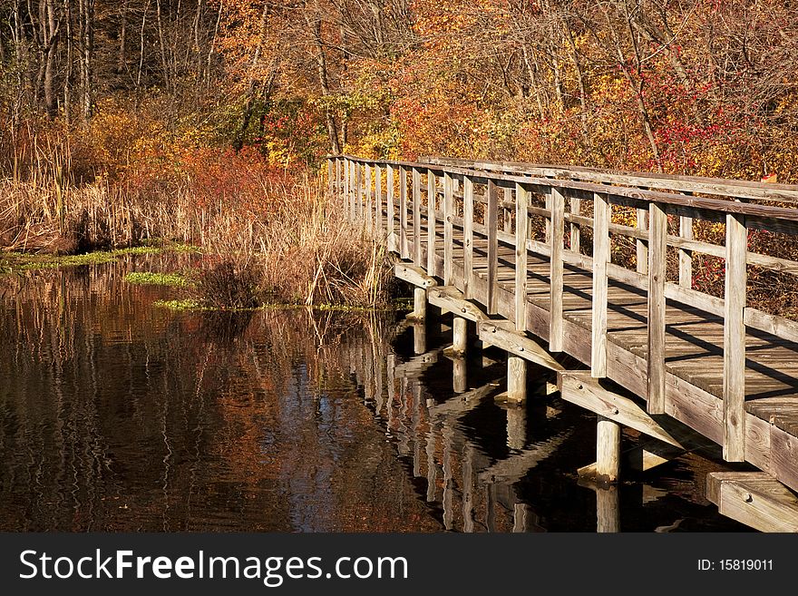 Shu Swamp on Long Island, NY during Autumn