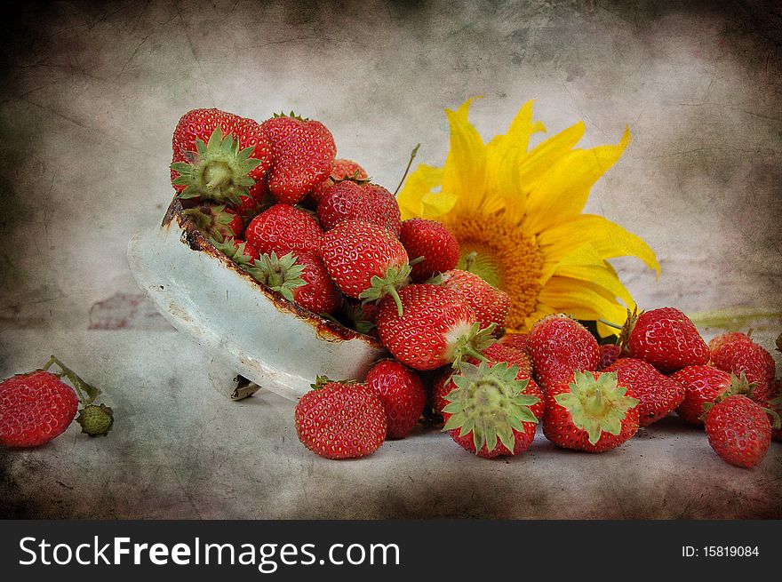 Much red strawberry and one flower of sunflower. Much red strawberry and one flower of sunflower