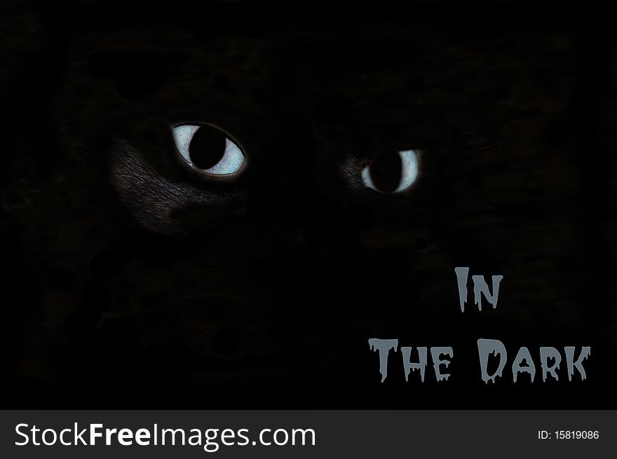 Eerie cat's eyes in the dark Halloween poster