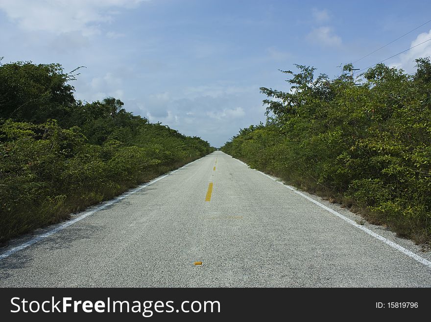 This is the main road to arrive to Xcalak, the last town on the Costa Maya before Belize. This is the main road to arrive to Xcalak, the last town on the Costa Maya before Belize.