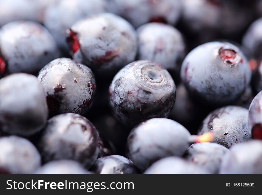 Pile of fresh blueberries close-up