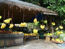 Bananas Royalty Free Stock Image Bananas Royalty Free Stock Image