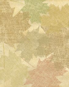 Autumn Leaves Royalty Free Stock Image Autumn Leaves Royalty Free Stock Image