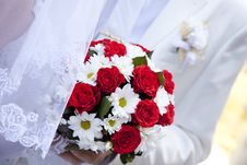 Bride Holding Beautiful Red Roses Wedding  Bouquet Royalty Free Stock Image