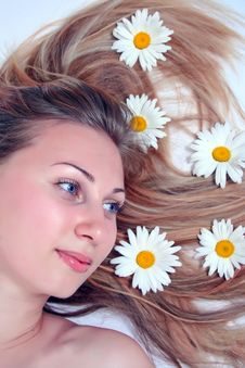 Beautiful Woman With Chamomile Stock Photos