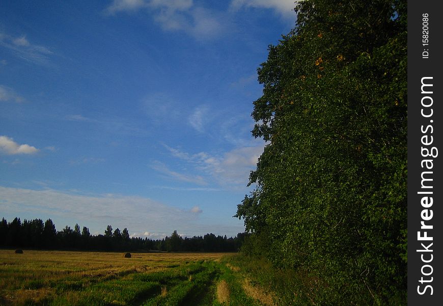 Autumn empty field and forest under blue sky with clouds. Autumn empty field and forest under blue sky with clouds