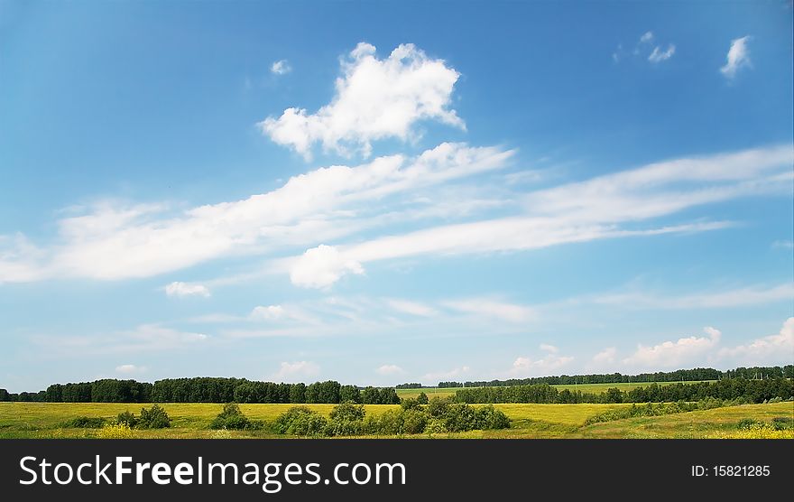 Beautiful summer landscape with blue sky