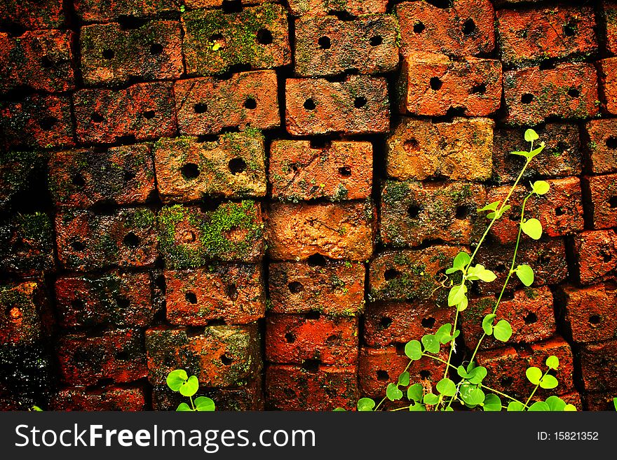 Old red brick wall grown with grass and moss