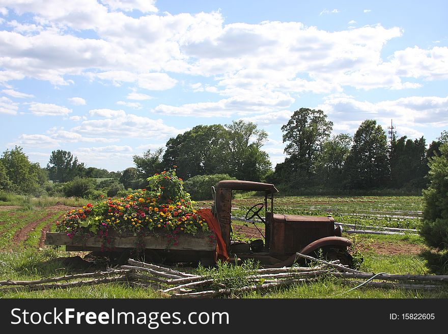 An old farm truck is used as a bed for beautiful flowers in a rural field. An old farm truck is used as a bed for beautiful flowers in a rural field.