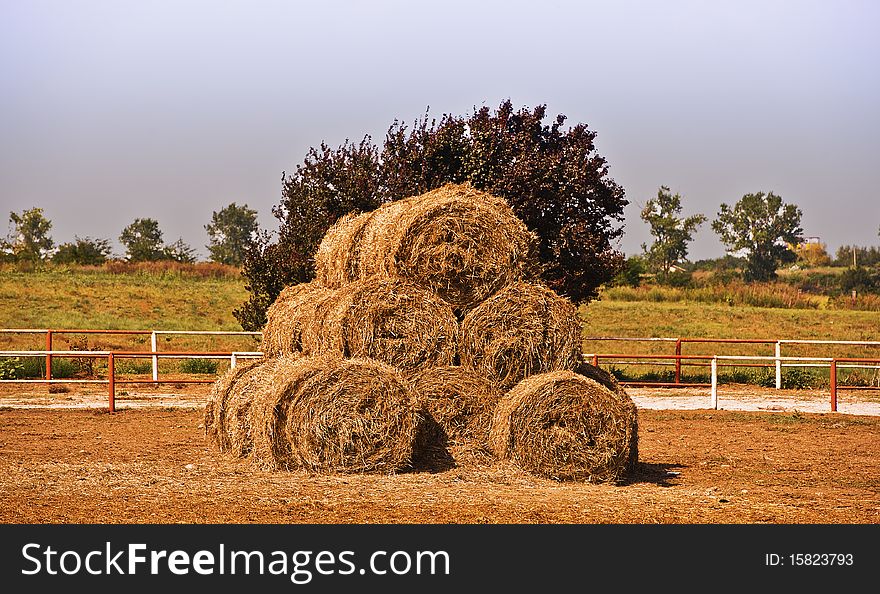 Round Bale's hay stack in nature