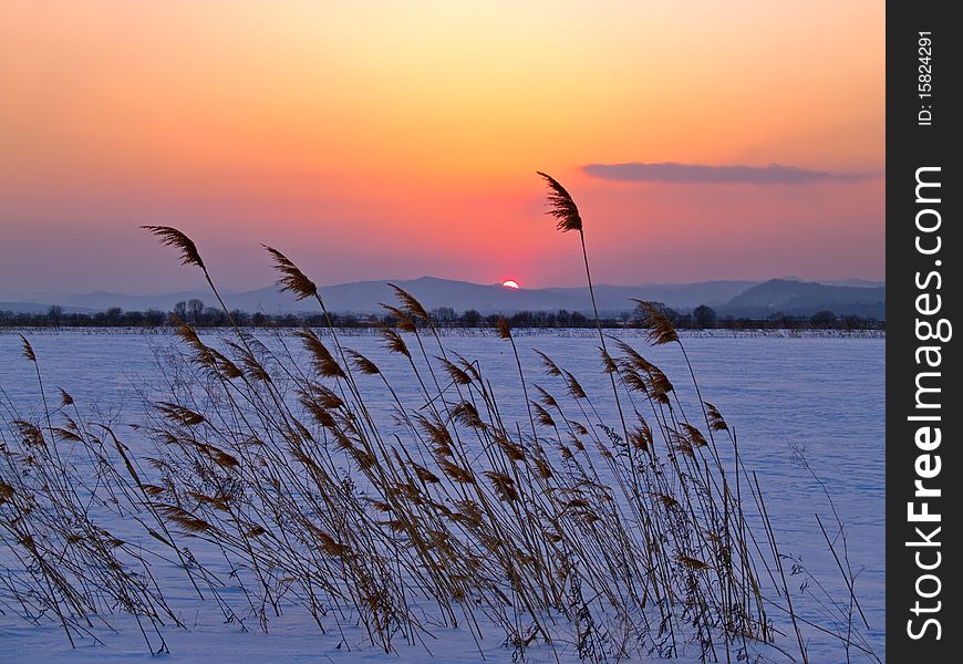 Sunset landscape in the field covered with snow. Sunset landscape in the field covered with snow