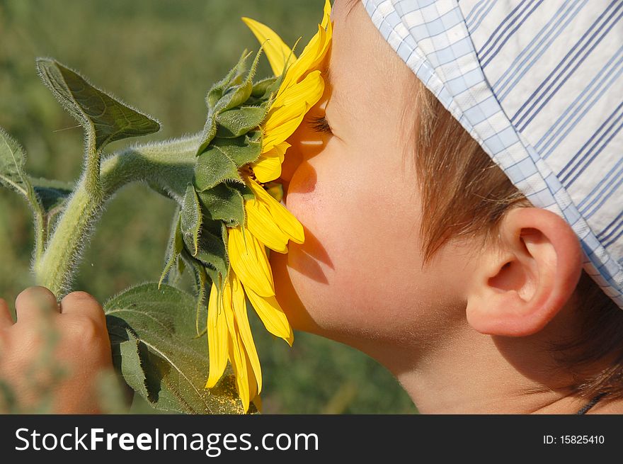 The young boy with sunflower