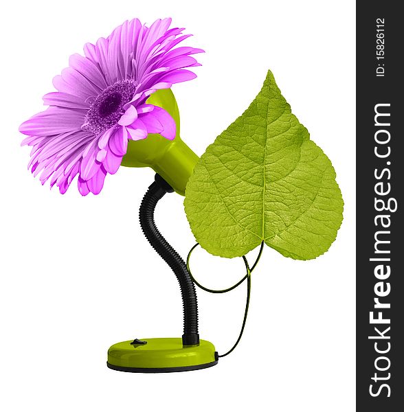 Green desk-lamp with leaf and pink gerbera isolated on white background