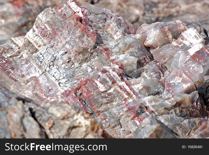 Petrified Forest - Crystal Lakes Rocks