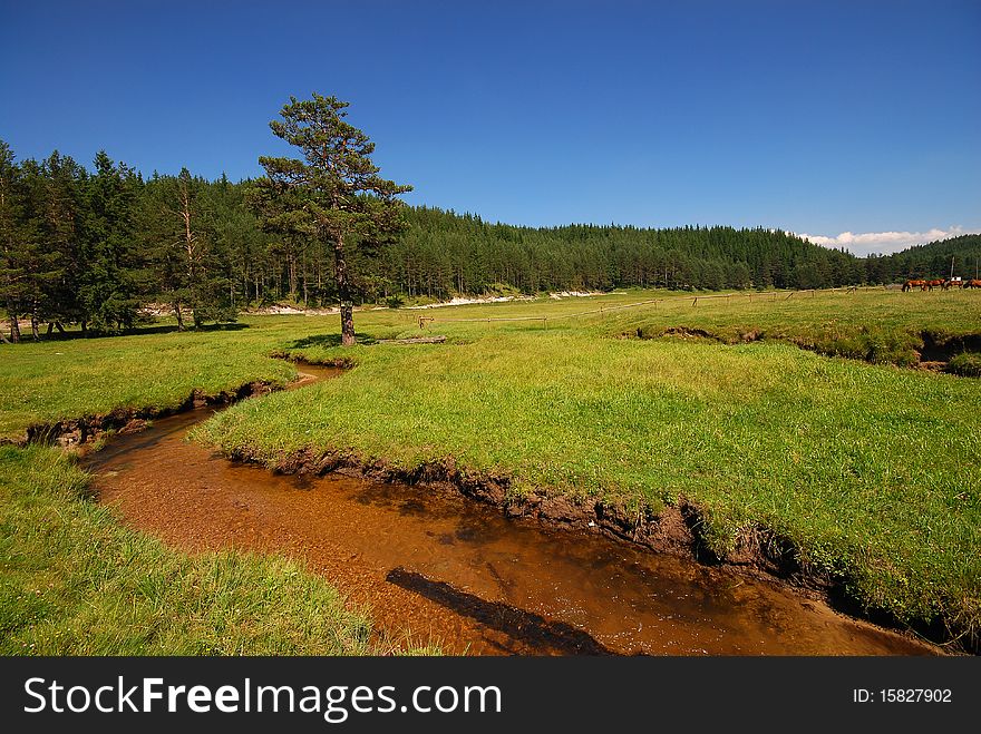 Peaceful river scene