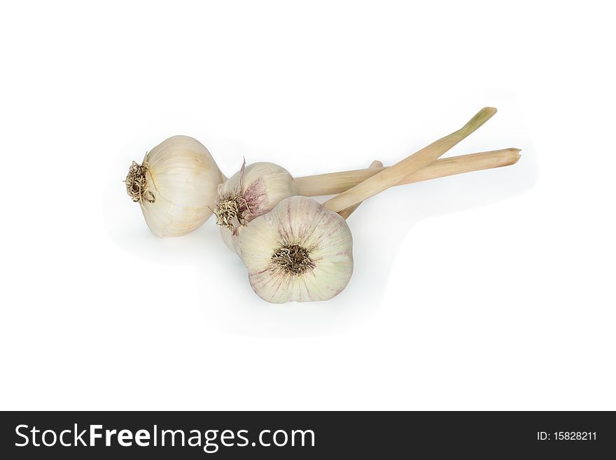 Three heads of garlic isolated on white background