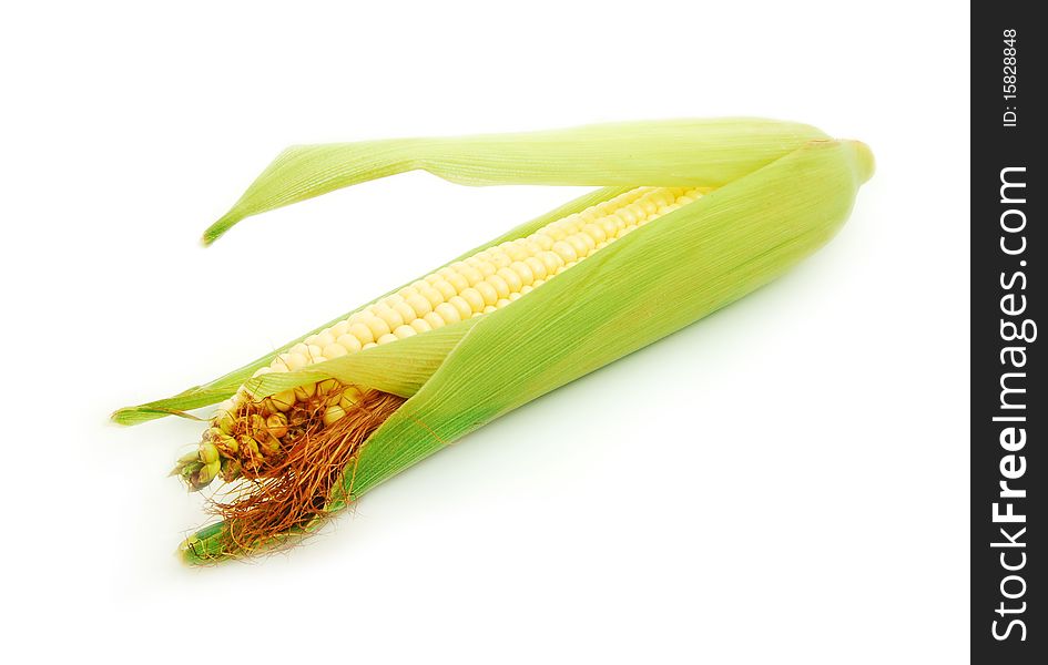 Corn detail isolated on white. Corn detail isolated on white