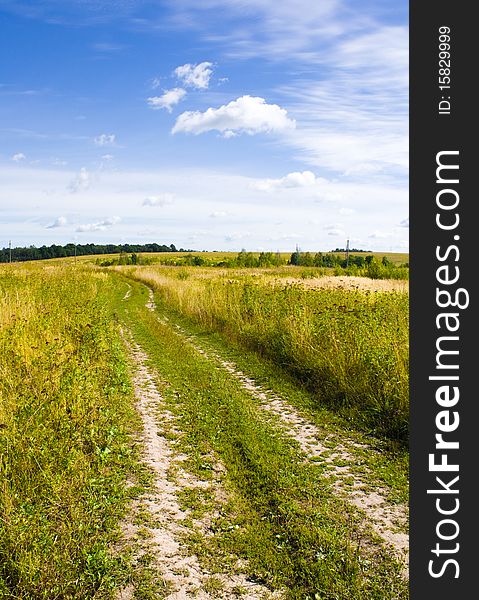 Summer landscape: road in field.