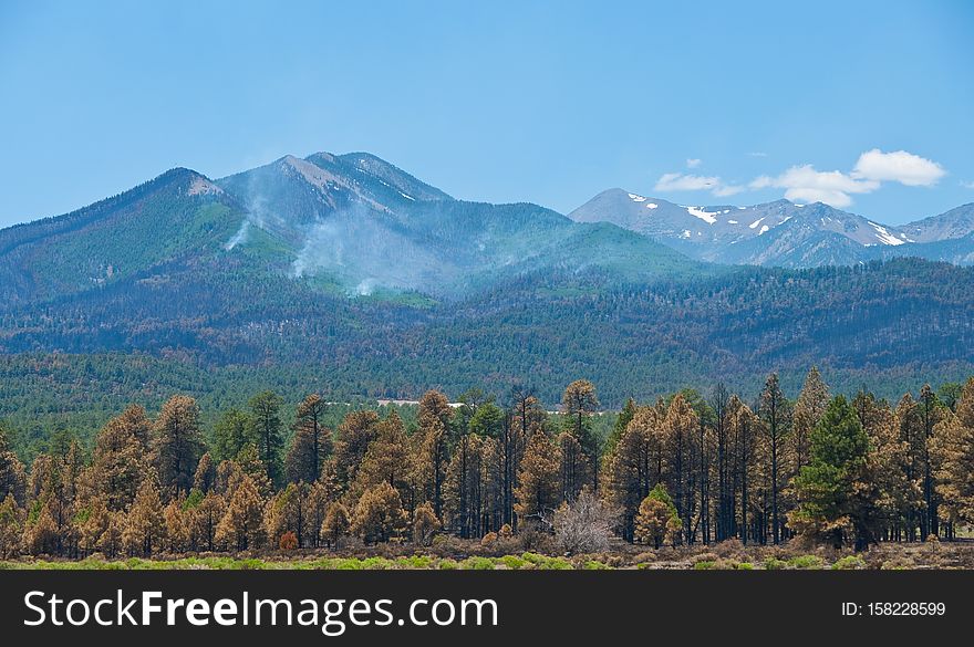 View from Bonito Park, west of Sunset Crater. The Park itself was burned when the fire jumped Hwy 89, and burned through the forest and park. A week after the Schultz Fire began, the wildfire is mostly contained. Clear skies and little smoke provided excellent visibility of the damage to the eastern face of the San Francisco Peaks.