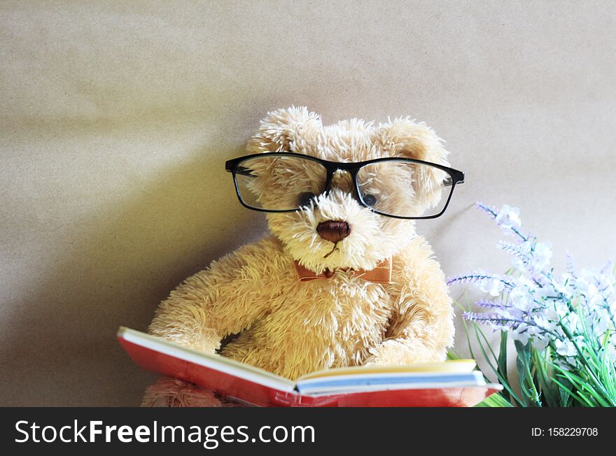 The lovely teddy bear toy is reading a book concept background. The lovely teddy bear toy is reading a book concept background