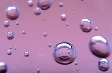 Bubbles Of Different Sizes In Pink Liquid Royalty Free Stock Images Bubbles Of Different Sizes In Pink Liquid Royalty Free Stock Images