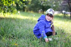 Nice Little Girl In Blue Coat Picks Up Flowers Stock Photo Nice Little Girl In Blue Coat Picks Up Flowers Stock Photo