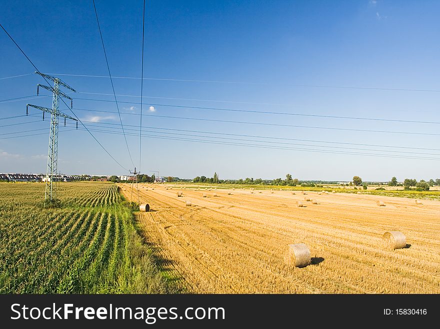 Straw rolls on summer field in village, country landscape. Straw rolls on summer field in village, country landscape