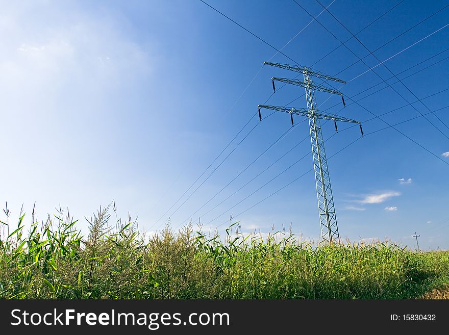 Electrical pylon, cables, wires and blue sky with corn field. Electrical pylon, cables, wires and blue sky with corn field