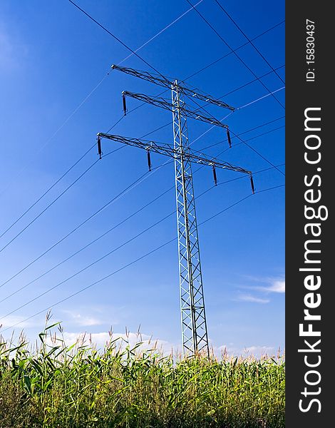 Electrical pylon and power lines, cables, wires and blue sky with corn field. Electrical pylon and power lines, cables, wires and blue sky with corn field