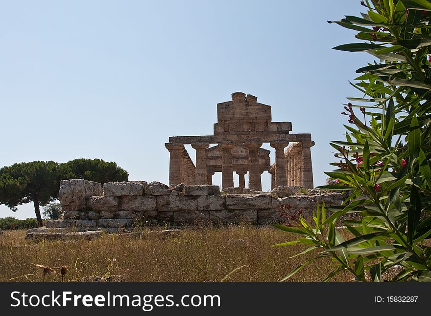 A Greek temple at Paestum, Italy