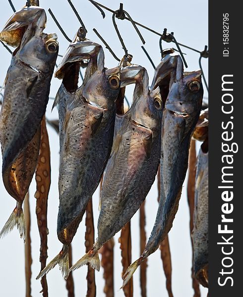 Drying fish on the sun, taken on Thasos Island, Greece.