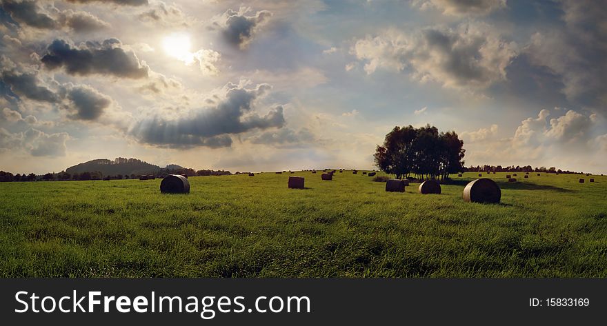 Look at the fields in summer