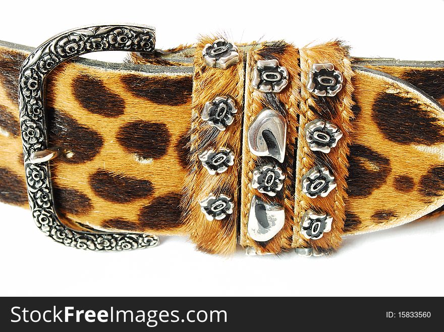 Leopard belt with a silver clasp