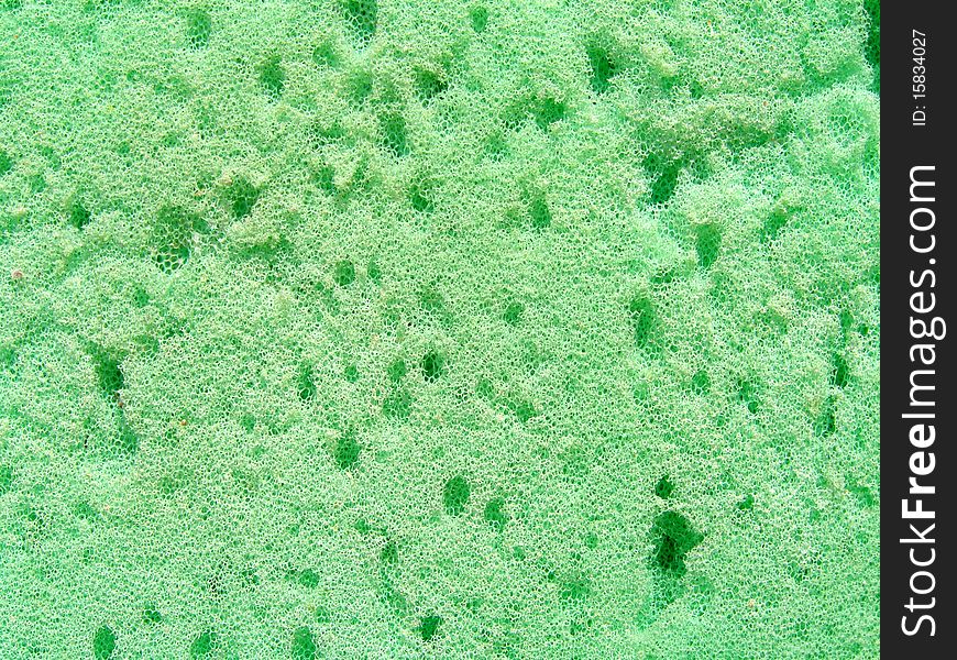 Detail photo texture of the green sponge background. Detail photo texture of the green sponge background