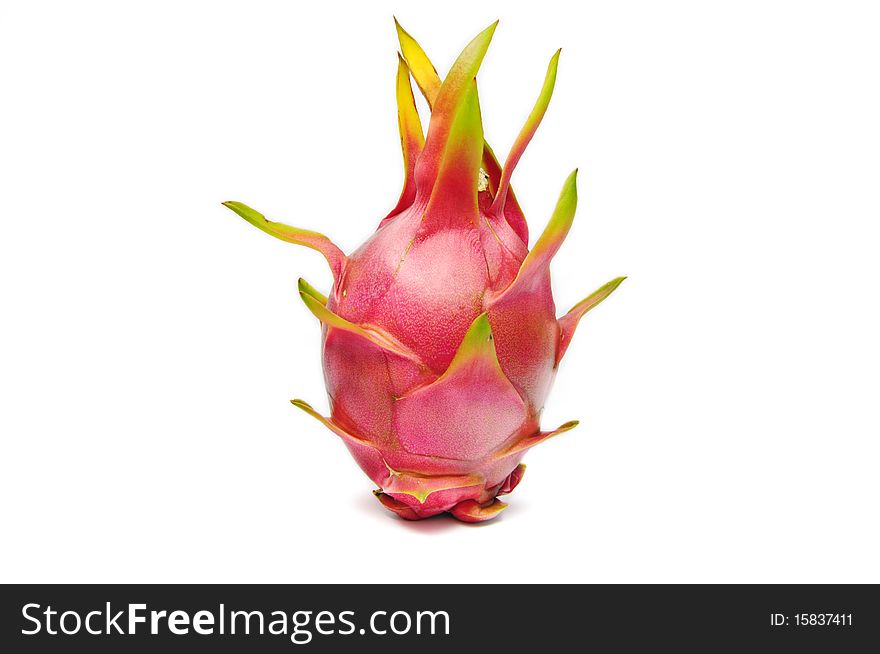 Dragon fruit