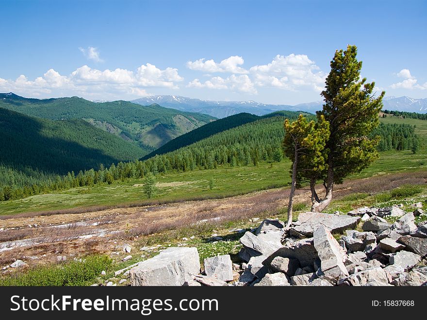 Beautiful mountain nature, Altay region