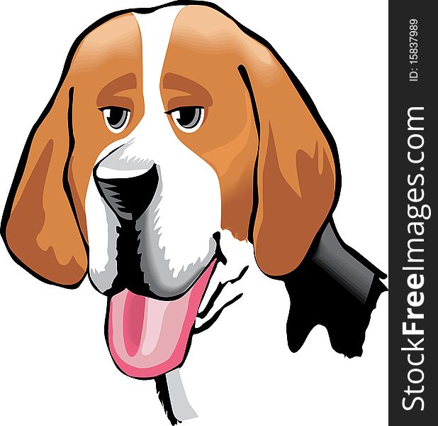 A cartoon portrait of an american foxhound dog. A cartoon portrait of an american foxhound dog