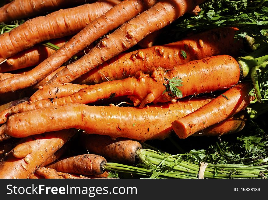 A bunch of carrots for sale in a farmer's market