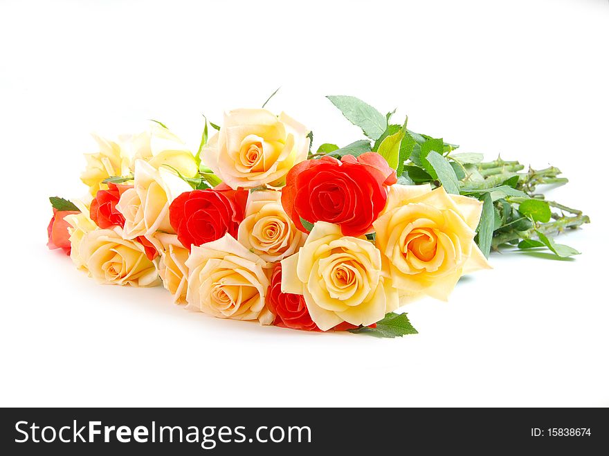 Red rose isolated on a white background