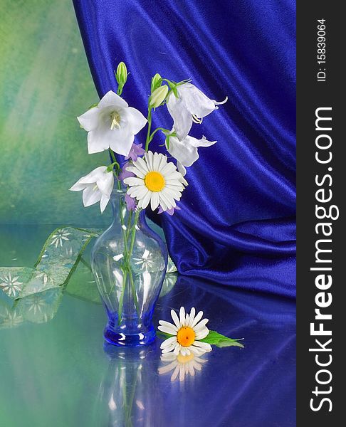 Summer bouquet on a blue background. Summer bouquet on a blue background