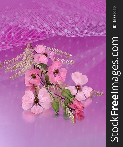 Blossoming branch on a pink background. Blossoming branch on a pink background