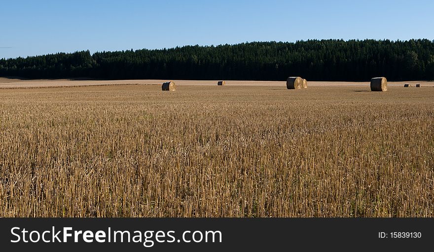 Landscape of agriculture in Norway