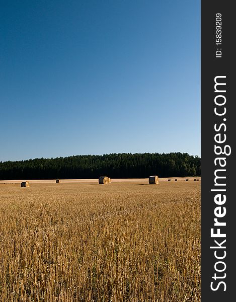 Landscape of agriculture in Norway