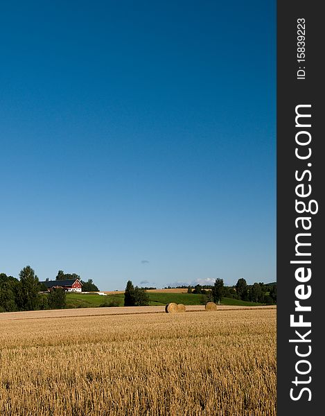 Landscape of agriculture in Norway