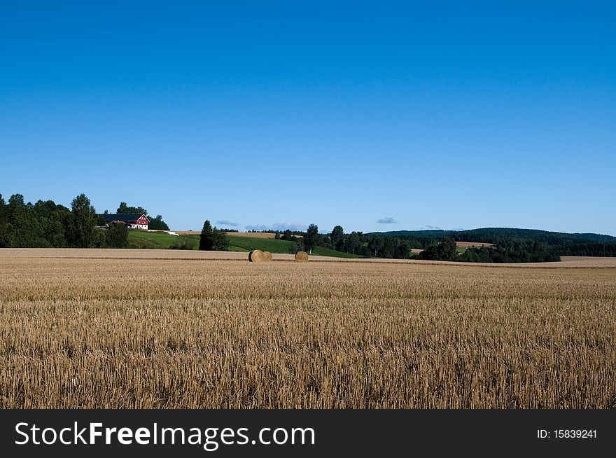 Landscape of agriculture in Norway