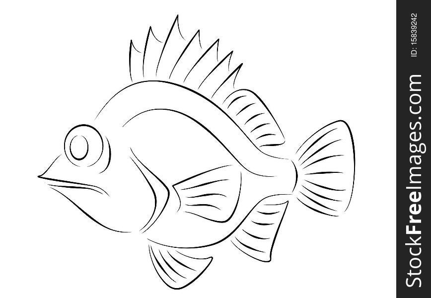 Illustration funny fish, made in black and white