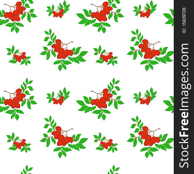 Seamless pattern of several bunches of rowan on a white background. Seamless pattern of several bunches of rowan on a white background