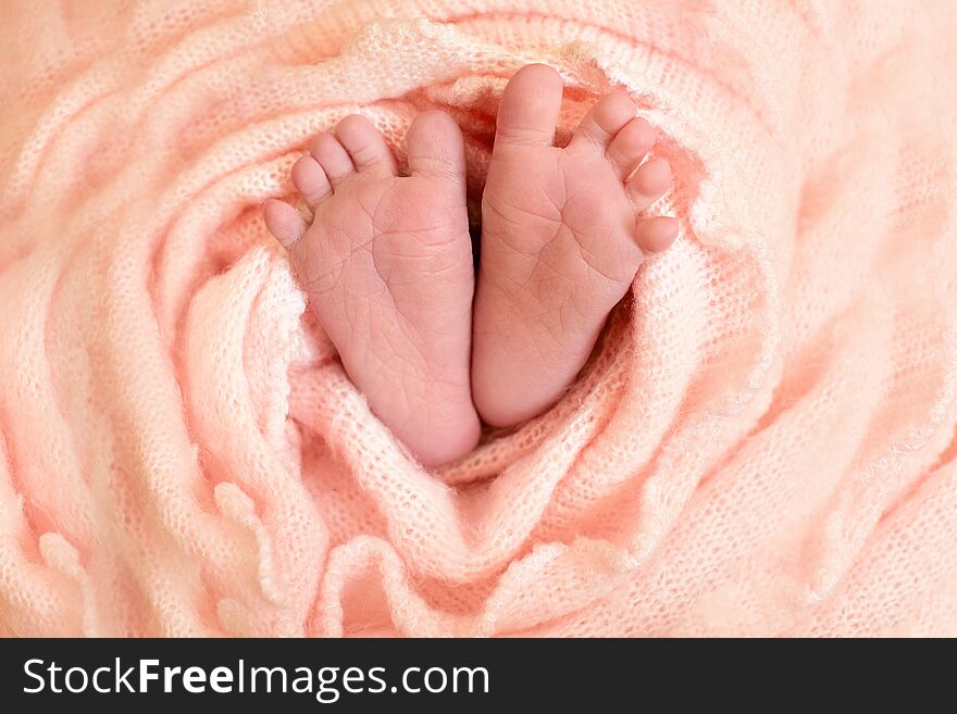 Feet of the newborn baby girl with pink flowers, fingers on the foot, maternal care, love and family hugs, tenderness.